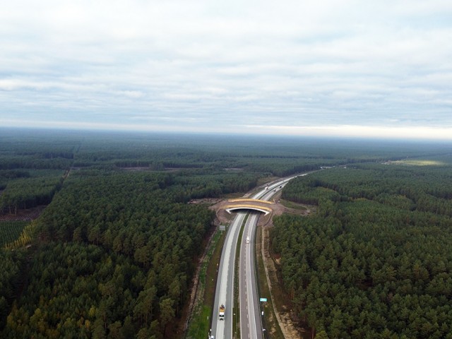DJI_0543.jpg